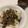 papikun's cooksnap of when they made エスニックスープ.