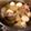 ましゅ田ましゅー's cooksnap of when they made 圧力鍋で手羽元と大根の甘辛煮.