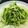 ◯usa◯'s cooksnap of when they made 豆苗のガーリック炒め.