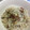 スパグレたん's cooksnap of when they made アミの塩辛とミョウガの混ぜご飯♪.