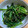 ぃくみっき〜★'s cooksnap of when they made これレシピ？！ほうれん草の簡単和え★.