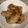 たもたんせなたん's cooksnap of when they made ご飯が進む！手羽中(手羽先)の炒り煮.