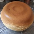 Totoromama's cooksnap of when they made 炊飯器で次の日もしっとりシフォンケーキ.