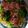 純子50Plus's cooksnap of when they made 【約460Kcal】空豆と生ハムのパスタ.
