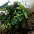 mmiwa's cooksnap of when they made 五分で完成！基本のほうれん草の胡麻和え.