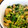 クックJK6256☆'s cooksnap of when they made 大根と大根葉と油揚げの炒り煮.