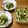 おはなすき's cooksnap of when they made 簡単♪常備菜☆蕪の葉と揚げと竹輪の煮物.