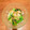くーちなし's cooksnap of when they made 妊娠中に♡小松菜おひたし釜揚げしらすのせ.