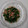 レオレオラモーン's cooksnap of when they made わさび菜とツナの和え物.