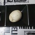 シルク０２２７'s cooksnap of when they made コンソメガーリックな味玉♡.