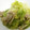 由芽15's cooksnap of when they made キャベツの優しいうま煮【作り置き】.