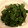 Rieko_ｓ♪♪'s cooksnap of when they made 美味しいよ☆イタリアンパセリのおひたし.
