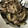 クックPW9C2T☆'s cooksnap of when they made ナスと豚肉の生姜焼き.