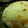 Sukeko55's cooksnap of when they made 揚げ玉おにぎり☆.
