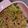 pgyaaayk's cooksnap of when they made じゃこピーマン.