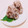 まあまま☆0403's cooksnap of when they made いかなごのくぎ煮と塩昆布のおにぎり♪.