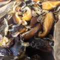 さりっこりん's cooksnap of when they made 手作りそうめんつゆ.