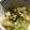 おちあいとかいう's cooksnap of when they made ちゃちゃっと簡単早生キャベツの塩昆布和え.