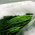 ふるこーす's cooksnap of when they made からし菜の塩漬け.