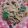 クックL2DT1S☆'s cooksnap of when they made 春のランチにホタルイカパスタはいかが？.