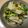 mcc5646's cooksnap of when they made 白菜の浅漬け.