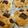 紅小雪's cooksnap of when they made チョコくるみバナナパン.