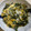クック茶々茶's cooksnap of when they made わらびの卵とじ.