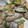 キキとノア's cooksnap of when they made 簡単！美味しい！あさりの酒蒸し.