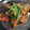 ゆかりりりー's cooksnap of when they made ➏　✿鰻のタレで簡単サバのかば焼き✿　➏.