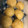ぷぅしゅけ's cooksnap of when they made ふわふわのかぼちゃまんじゅう.