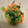 クック6VWZLC☆'s cooksnap of when they made 簡単☆小松菜のごま和え☆.