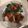 みきみきとんとん's cooksnap of when they made 炊飯器でフランス料理 鴨のオレンジソース.