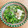 mikko6's cooksnap of when they made ちりめん和風サラダ♪.