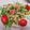 Mature1028's cooksnap of when they made やみつき！5分で水菜と大根の鰹胡麻サラダ.