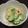 Ｐ子ママ's cooksnap of when they made きゅうりとちくわのめんたいマヨ和え.