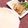 たくぽんす's cooksnap of when they made ★話題です★そのまま春捲皮で北京ダック風.