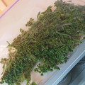 ねここfm's cooksnap of when they made 山椒の葉の冷凍保存.