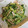カイカイ625's cooksnap of when they made 簡単！きゅうりとハムわかめの酢の物.