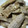 クック59ZLK3☆'s cooksnap of when they made 豚の味噌マヨネーズ焼き.