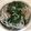 ＊ono＊'s cooksnap of when they made ニラとさばのそうめんちゃんぷる～.