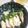 クックGB6431☆'s cooksnap of when they made レンジで簡単!!さっぱり蒸し鶏.