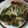 ハニイとムサシ's cooksnap of when they made レンチン簡単！オクラちくわ和え.