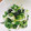 ★RIKOmama★'s cooksnap of when they made 新玉ねぎと水菜の韓国のり和えサラダ.