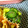 haruku221's cooksnap of when they made ＊我が家流・きゅうりのゆかり和え＊.