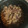 クック5T7Z23☆'s cooksnap of when they made 人気！蛍烏賊と大豆とひじきの炊き込みご飯.