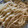 トラととら's cooksnap of when they made 焼きそば♫塩胡椒.味覇のみ！簡単旨い◎.