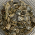 ふわふわのえる's cooksnap of when they made 簡単＆失敗無し！あさりの砂出し(砂抜き).