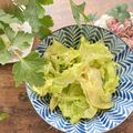 横浜発国際料理教室's cooksnap of when they made 包丁いらず☆春キャベツナムル.