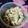 curisupin's cooksnap of when they made ［子供ごはん］手作り野菜ふりかけ.