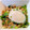 かわいい星優のママ's cooksnap of when they made すき家風★新とりそぼろ丼.